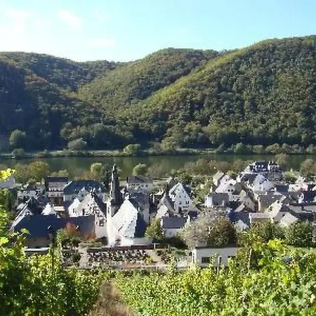 Altes Winzerhaus In By Interhome Casa de Férias Mesenich